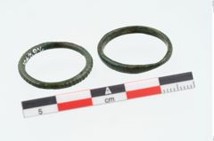 Foto von Bronzering (NHMW-PRAE-026240)